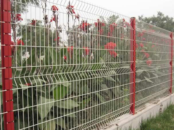 園林隔離網(wǎng)圖片5 園林隔離網(wǎng)圖片5