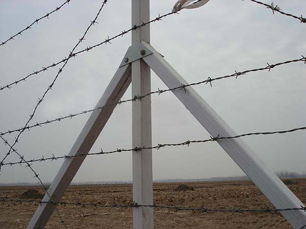 刺鐵絲柵欄 刺鐵絲柵欄