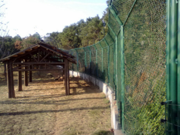 動(dòng)物園防護(hù)柵欄圖片2 動(dòng)物園防護(hù)柵欄圖片2