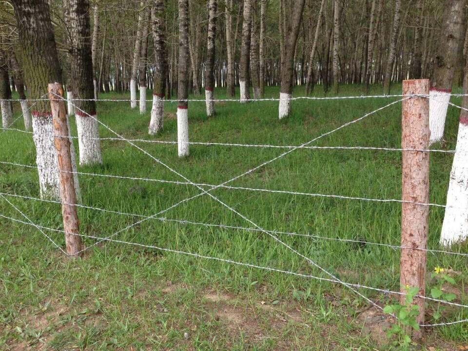 刺繩護欄網圖片5 刺繩護欄網圖片5