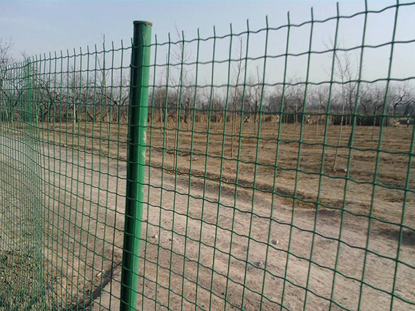 圈地護(hù)欄網(wǎng) - 安平縣中澤絲網(wǎng)制造有限公司圖片4